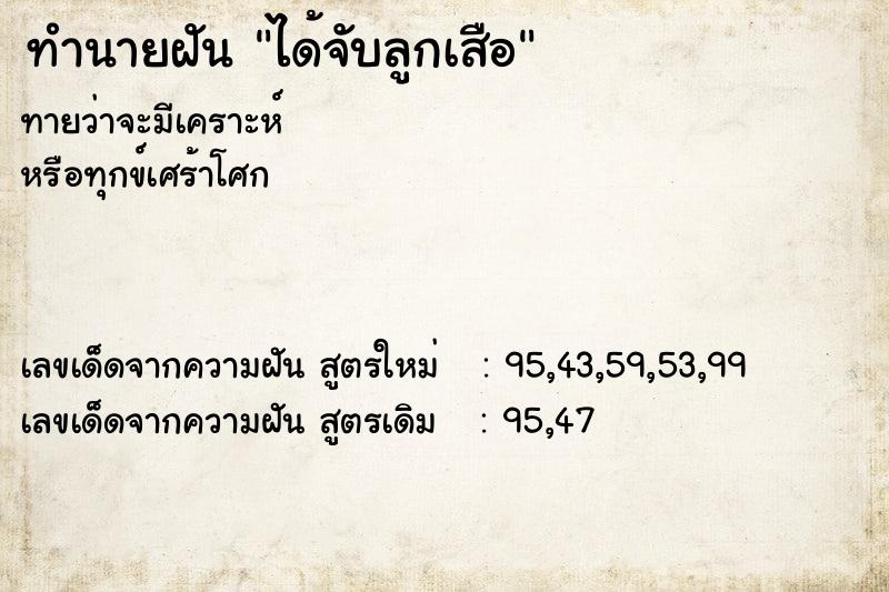 ทำนายฝัน ได้จับลูกเสือ