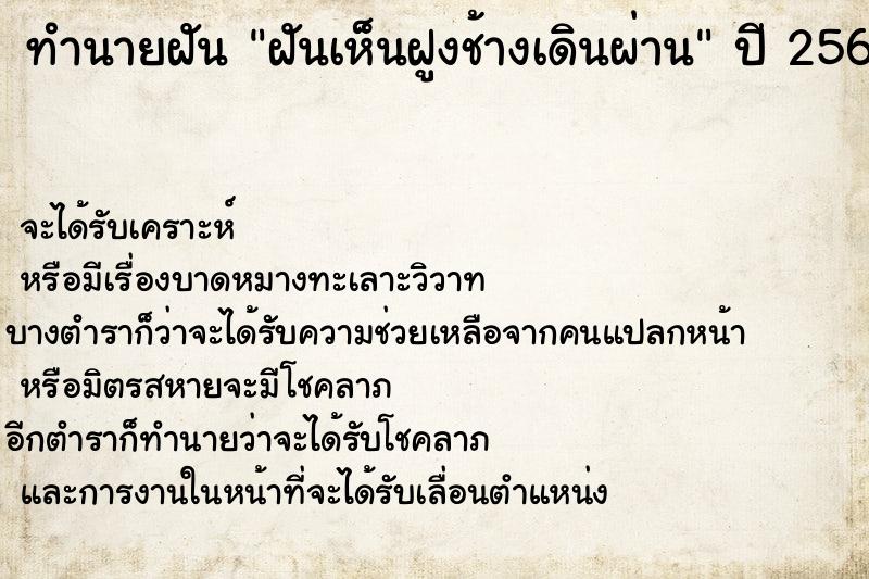 ทำนายฝัน ฝันเห็นฝูงช้างเดินผ่าน