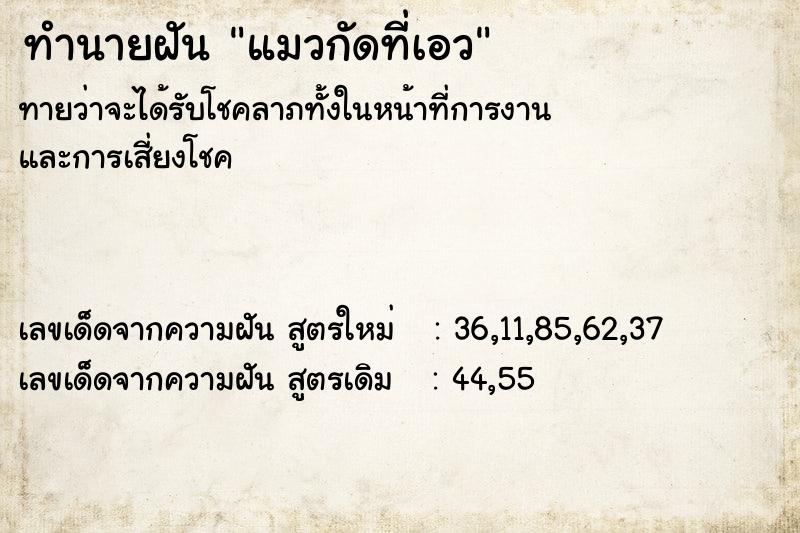 ทำนายฝัน แมวกัดที่เอว  เลขนำโชค 