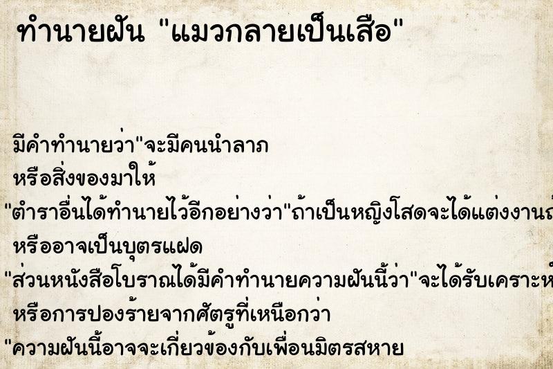 ทำนายฝัน แมวกลายเป็นเสือ  เลขนำโชค 