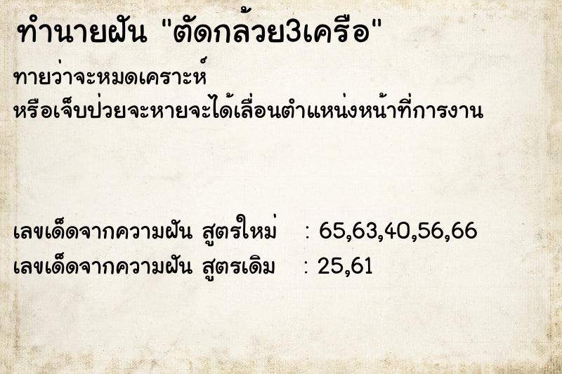 ทำนายฝัน ตัดกล้วย3เครือ