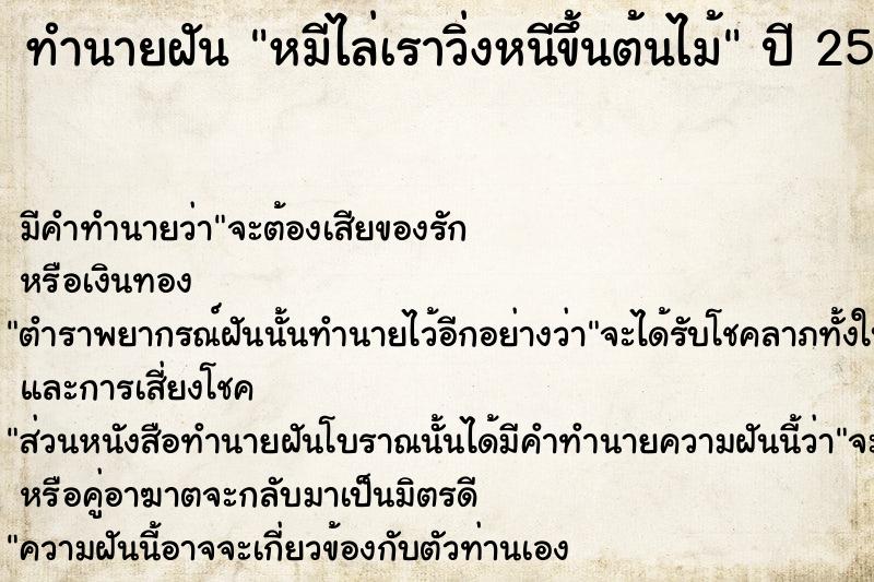 ทำนายฝัน หมีไล่เราวิ่งหนีขึ้นต้นไม้