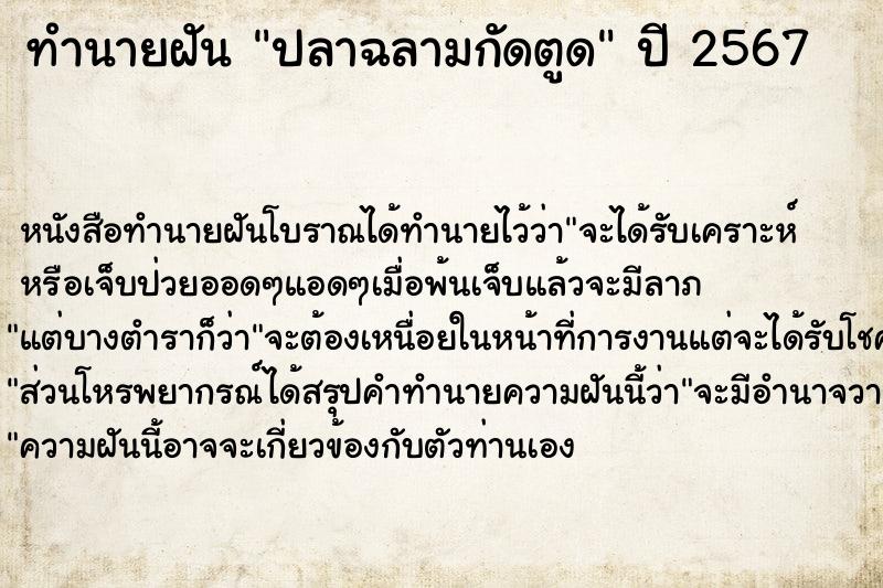 ทำนายฝัน ปลาฉลามกัดตูด