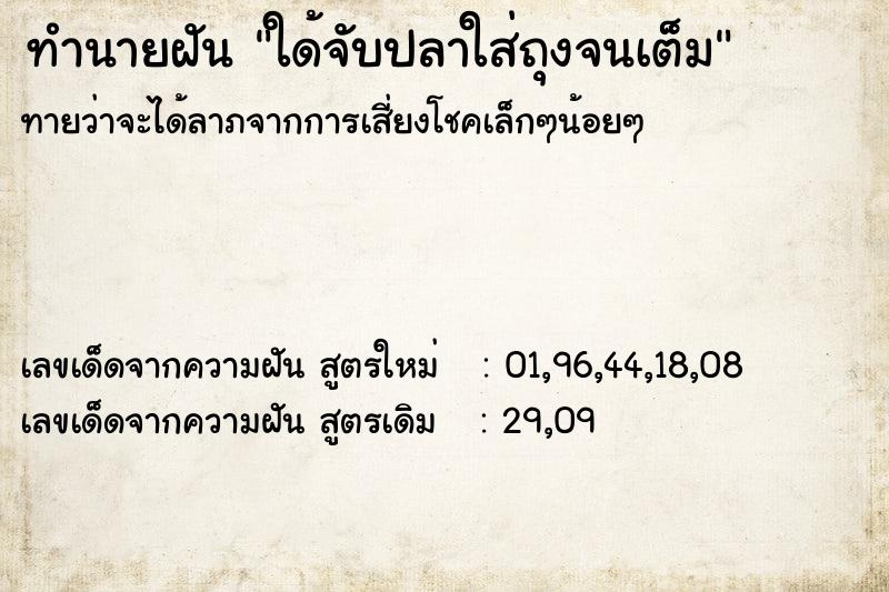 ทำนายฝัน ใด้จับปลาใส่ถุงจนเต็ม