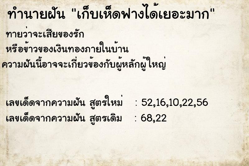 ทำนายฝัน เก็บเห็ดฟางได้เยอะมาก  เลขนำโชค 