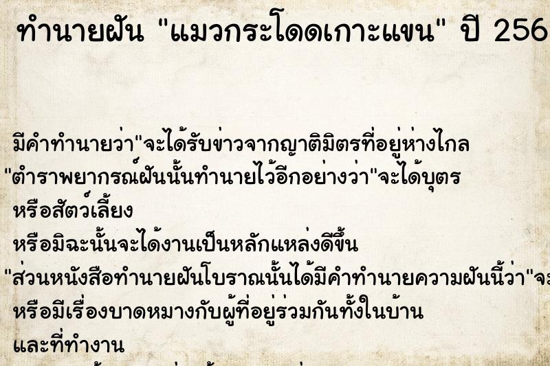 ทำนายฝัน แมวกระโดดเกาะแขน  เลขนำโชค 