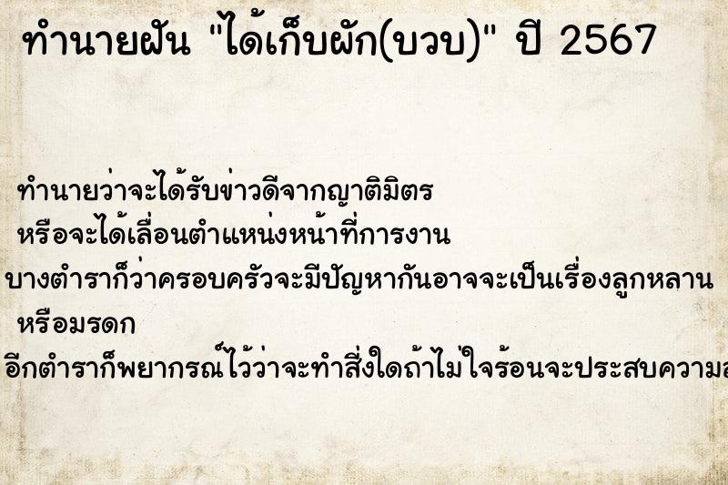 ทำนายฝัน ได้เก็บผัก(บวบ)