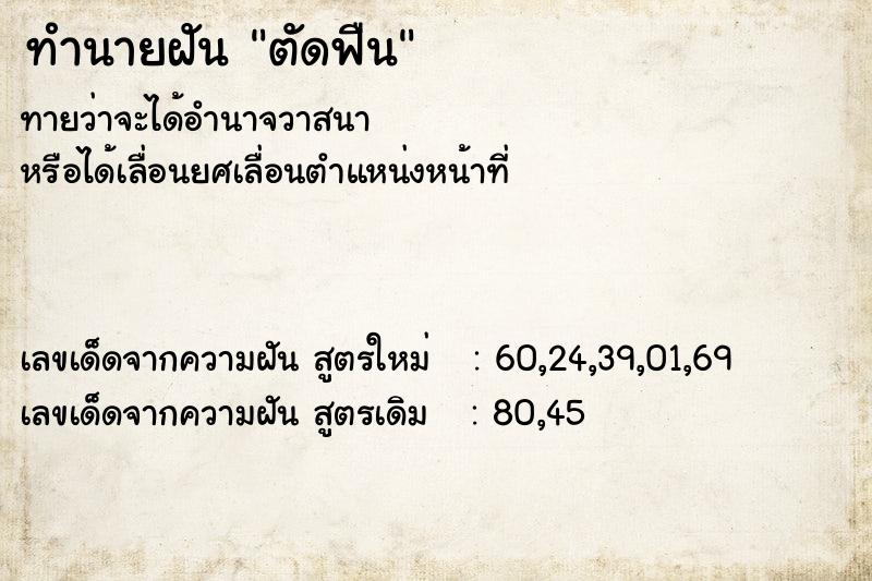 ทำนายฝัน ตัดฟืน