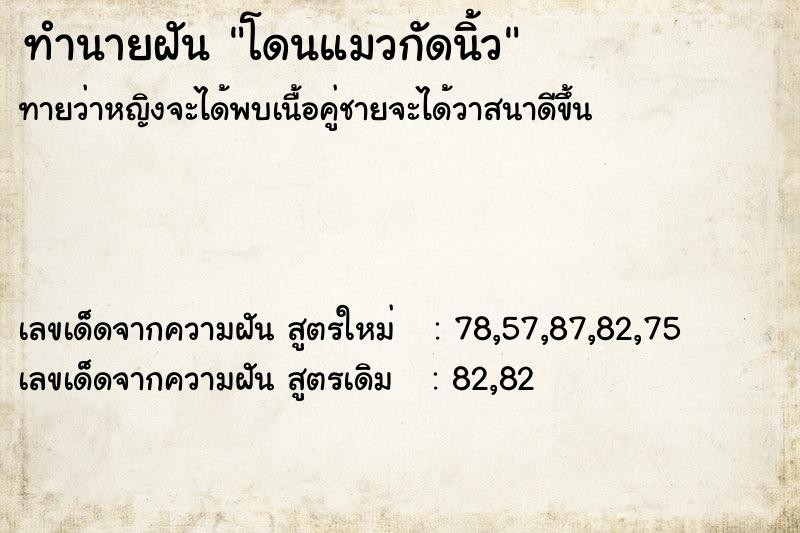 ทำนายฝัน โดนแมวกัดนิ้ว ตำราโบราณ แม่นที่สุดในโลก