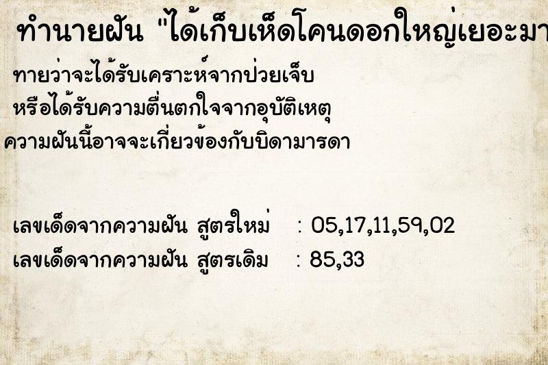 ทำนายฝัน ได้เก็บเห็ดโคนดอกใหญ่เยอะมาก