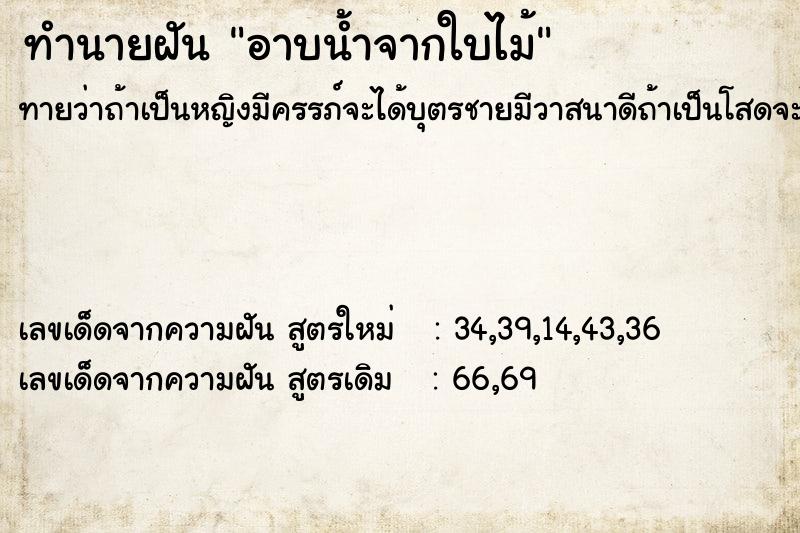 ทำนายฝัน อาบน้ำจากใบไม้