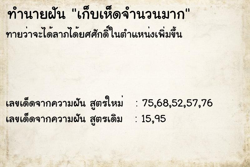 ทำนายฝัน เก็บเห็ดจำนวนมาก