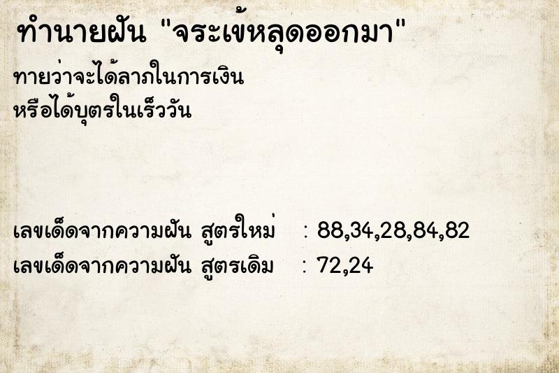 ทำนายฝัน จระเข้หลุดออกมา