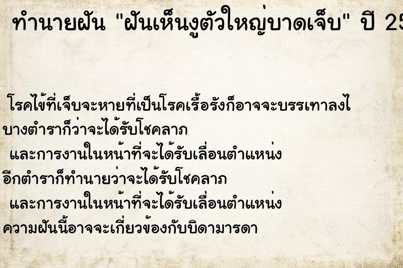 ทำนายฝัน ฝันเห็นงูตัวใหญ่บาดเจ็บ