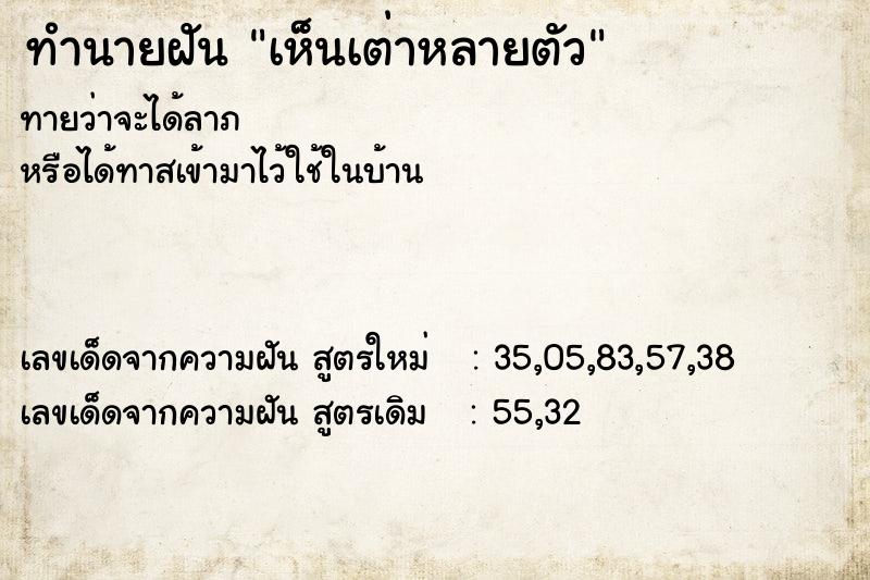 ทำนายฝัน #ทำนายฝัน #เห็นเต่าหลายตัว  เลขนำโชค 