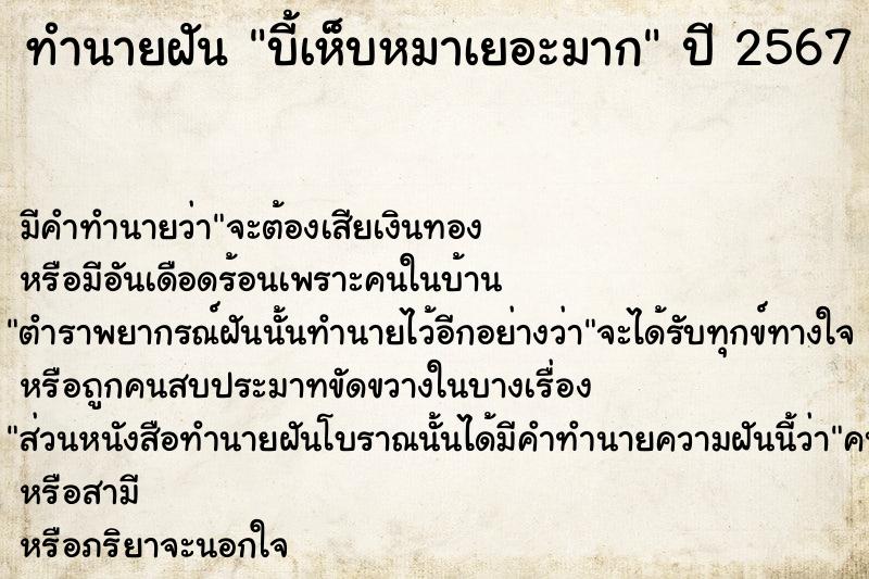 ทำนายฝัน บี้เห็บหมาเยอะมาก