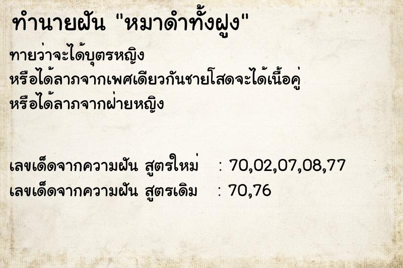 ทำนายฝัน หมาดำทั้งฝูง