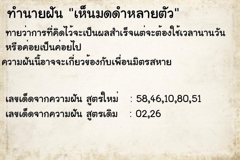 ทำนายฝัน เห็นมดดำหลายตัว