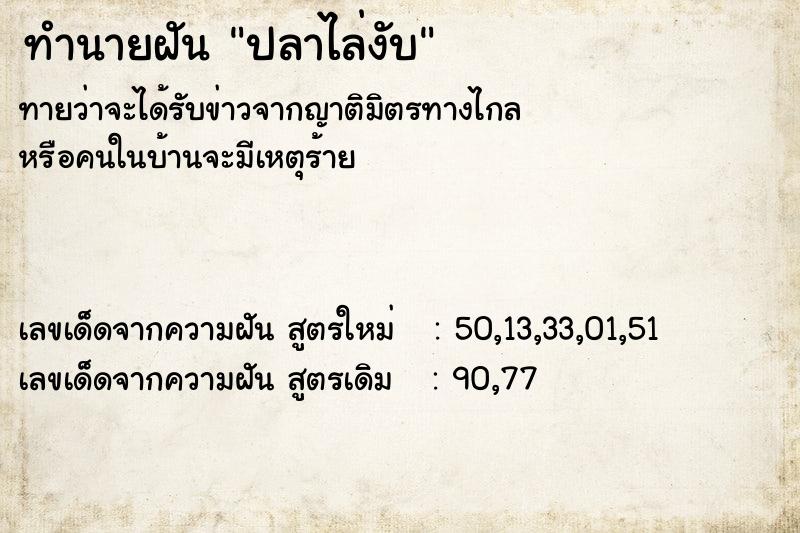 ทำนายฝัน ปลาไล่งับ