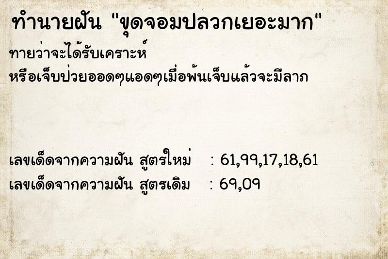 ทำนายฝัน ขุดจอมปลวกเยอะมาก