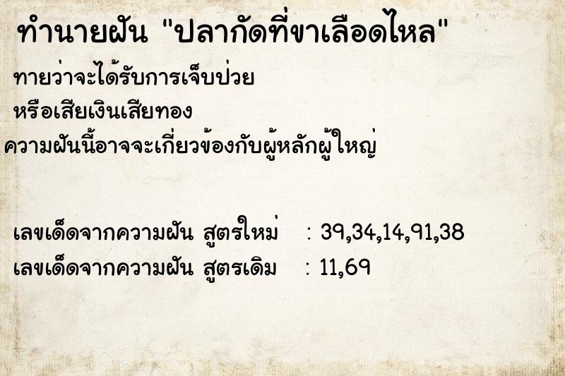 ทำนายฝัน ปลากัดที่ขาเลือดไหล