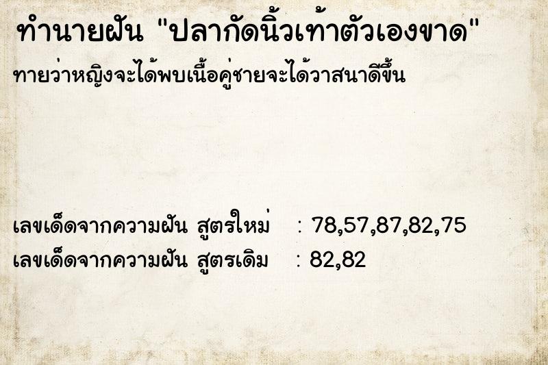 ทำนายฝัน ปลากัดนิ้วเท้าตัวเองขาด