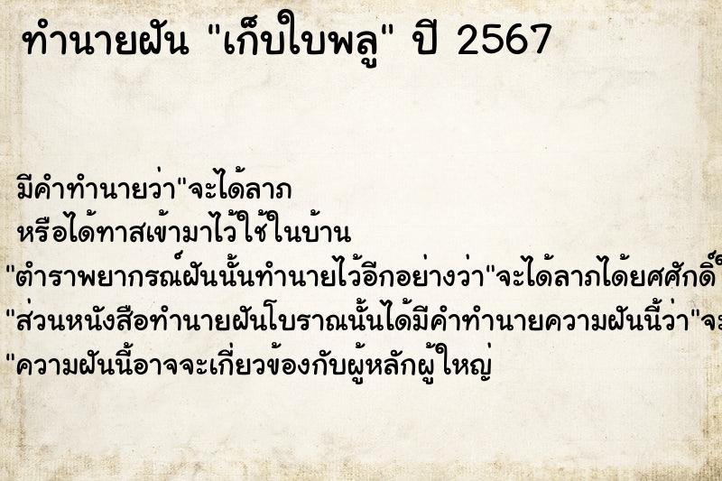 ทำนายฝัน #ทำนายฝัน #เก็บใบพลู  เลขนำโชค 