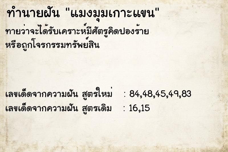 ทำนายฝัน แมงมุมเกาะแขน  เลขนำโชค 