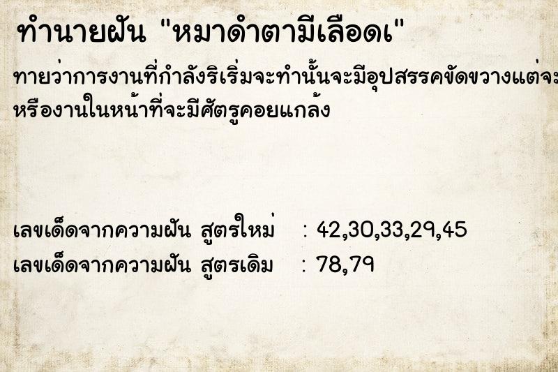 ทำนายฝัน หมาดำตามีเลือดà