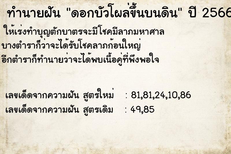 ทำนายฝัน ดอกบัวโผล่ขึ้นบนดิน