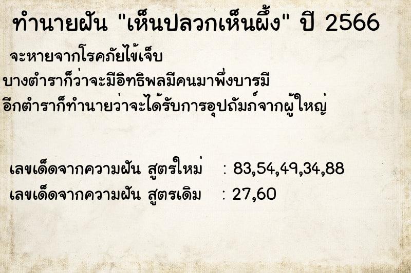 ทำนายฝัน เห็นปลวกเห็นผึ้ง