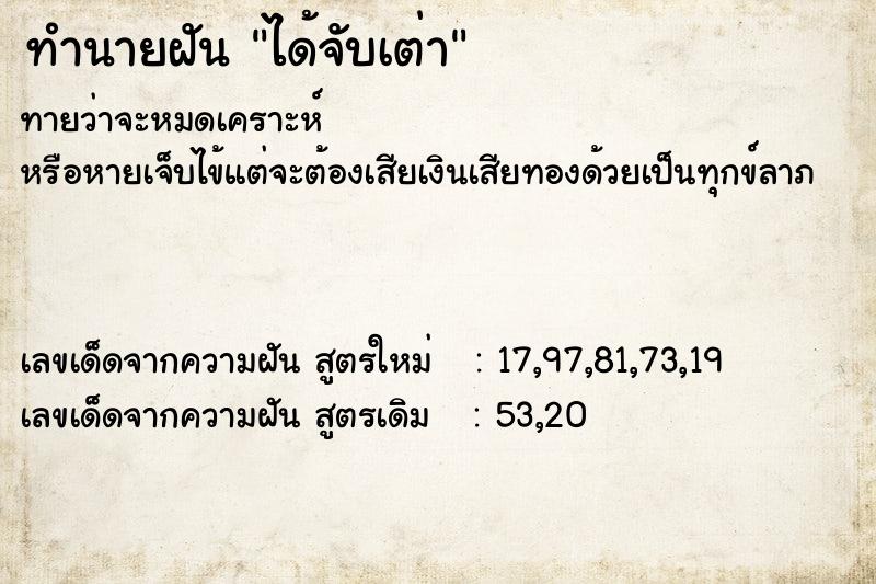 ทำนายฝัน ได้จับเต่า  เลขนำโชค 