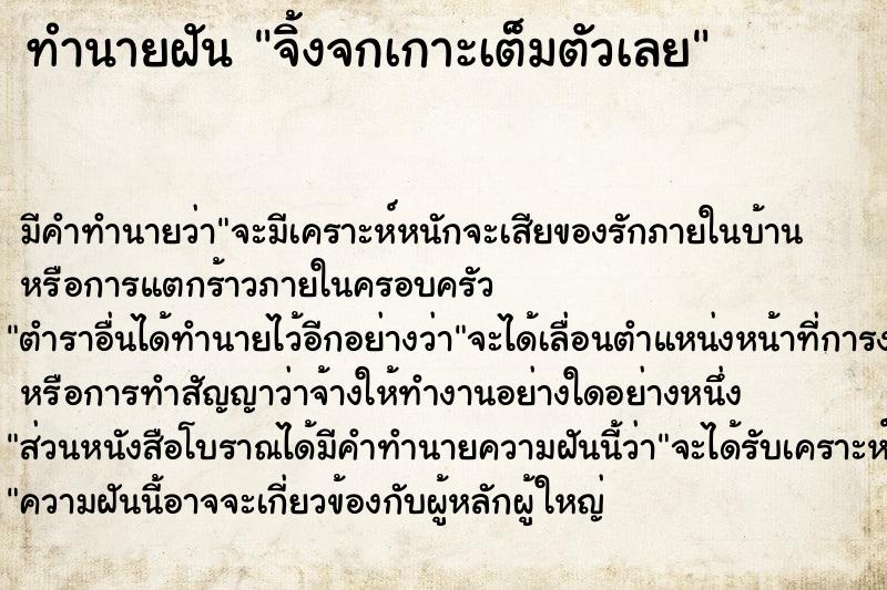 ทำนายฝัน จิ้งจกเกาะเต็มตัวเลย