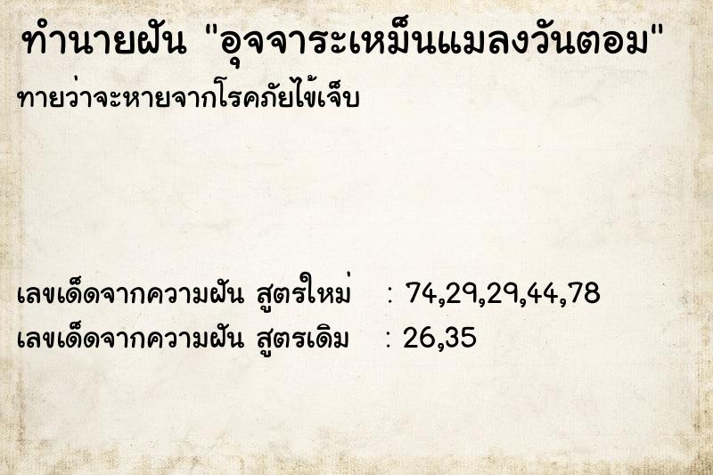 ทำนายฝัน อุจจาระเหม็นแมลงวันตอม