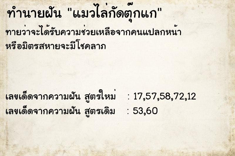 ทำนายฝัน แมวไล่กัดตุ๊กแก