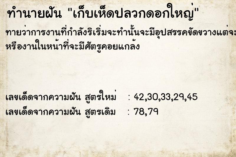 ทำนายฝัน เก็บเห็ดปลวกดอกใหญ่