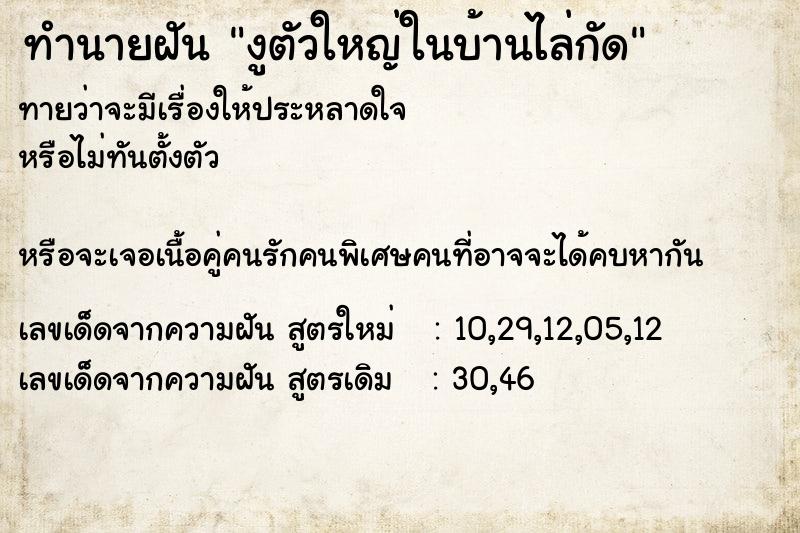 ทำนายฝัน งูตัวใหญ่ในบ้านไล่กัด