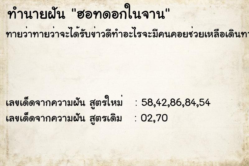 ทำนายฝัน ฮอทดอกในจาน