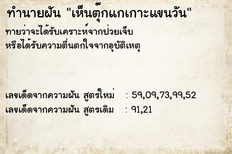 ทำนายฝัน เห็นตุ๊กแกเกาะแขนวัน  เลขนำโชค 