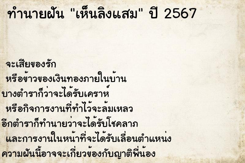 ทำนายฝัน #ทำนายฝัน #เห็นลิงแสม  เลขนำโชค 