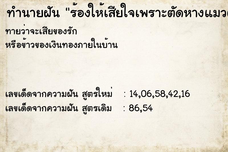 ทำนายฝัน ร้องให้เสียใจเพราะตัดหางแมวตัวเองขาด