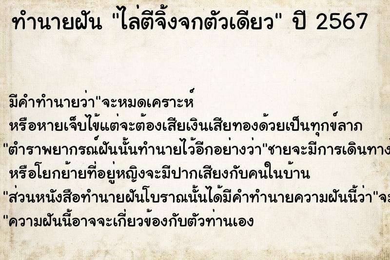 ทำนายฝัน ไล่ตีจิ้งจกตัวเดียว