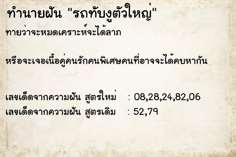 ทำนายฝัน รถทับงูตัวใหญ่