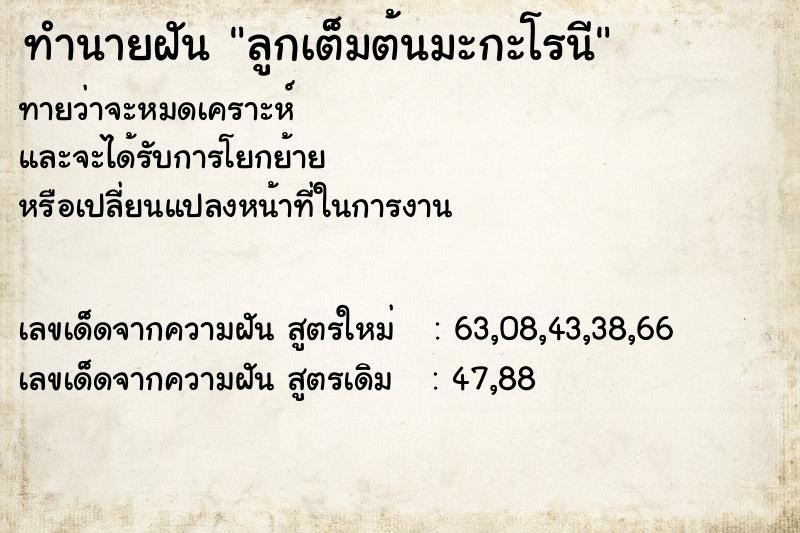 ทำนายฝัน ลูกเต็มต้นมะกะโรนี