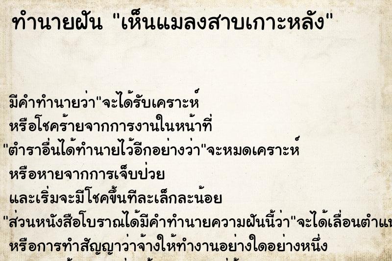 ทำนายฝัน เห็นแมลงสาบเกาะหลัง