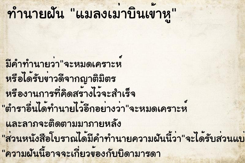 ทำนายฝัน แมลงเม่าบินเข้าหู  เลขนำโชค 