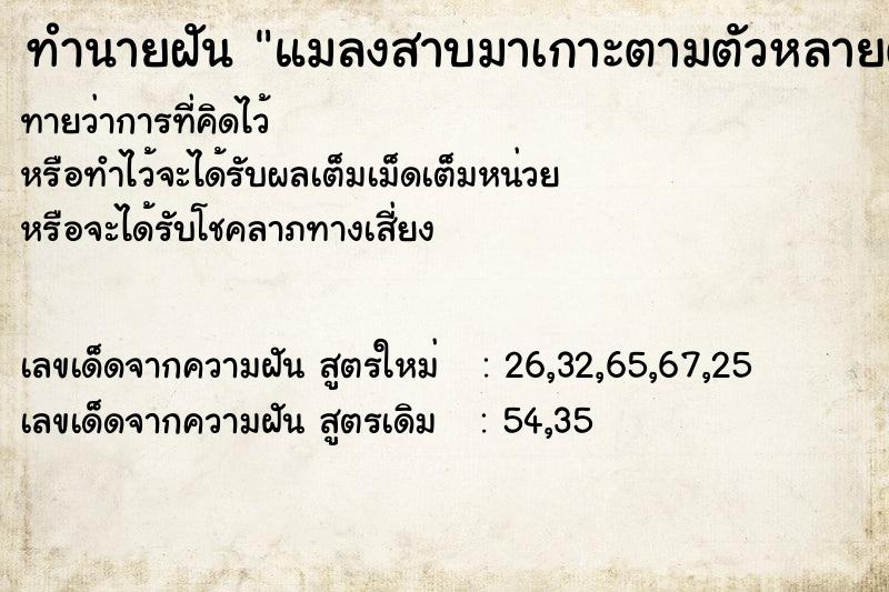 ทำนายฝัน แมลงสาบมาเกาะตามตัวหลายตัวปัดออก