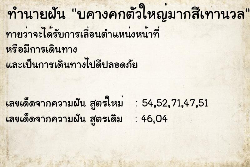 ทำนายฝัน บคางคกตัวใหญ่มากสีเทานวล