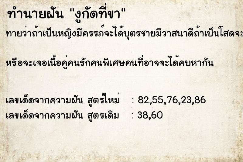 ทำนายฝัน งูกัดที่ขา  เลขนำโชค 