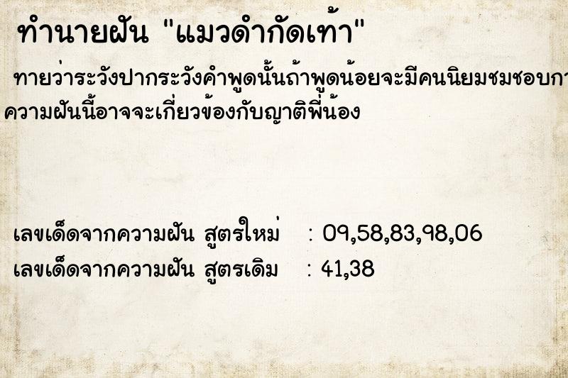 ทำนายฝัน แมวดำกัดเท้า